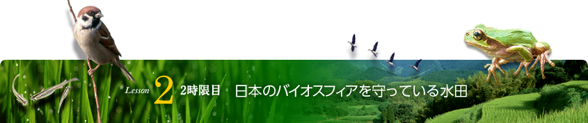 Lesson2 2時限目 日本のバイオスフィアを守っている水田