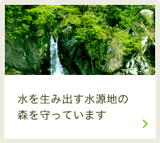 水を生み出す水源地の森を守っています