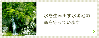 水を生み出す水源地の森を守っています