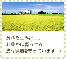 食料を生み出し、心豊かに暮らせる農村環境を守っています